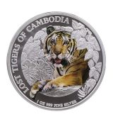 Mince Ztracení tygři z Kambodže Coloured 2023 1 oz
