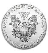 Stříbrná mince American Eagle 1 Oz 2013