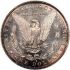 Mince- Morgan Dollar 1879