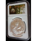 Mince  1998 Panda