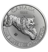Mince 2017 Kanada 1 oz  Predator Rys