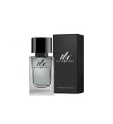 Burberry Mr. Burberry, parfémovaná voda pánská 100 ml