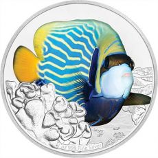 Angelfish 1 Oz