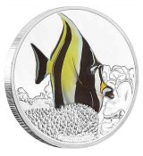 Moorish Idol 1 Oz