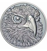 OREL KLÍNOOCASÝ (eagle)