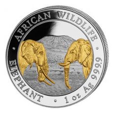 African Wildlife Somalia Elephant Pozlacená SLON 2020