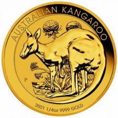 Klokan 1/4 Oz zlato Kangaroo