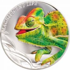 Chameleon 1 oz