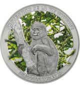 Stříbrná mince Piliocolobus Foai-Opice (Monkey) 20g