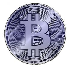 Bitcoin 1 Oz