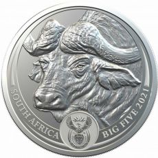 Big Five Buffalo 1 Oz 2021