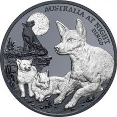 Dingo 1 oz