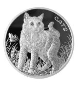 Kočka 1 Oz