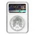 2014 American Silver Eagle MS-69 NGC 1 Oz