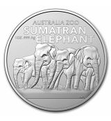 Sumatran Elephant 1 Oz Slon