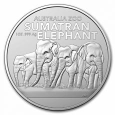 Sumatran Elephant 1 Oz Slon