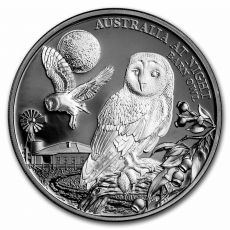 Stříbrná mince Night Barn Owl (Noční sova pálená) 1 Oz 1 $  2022  Niue