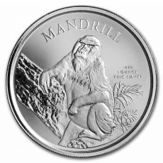 Stříbrná mince Mandrill 1 Oz 2021 Kamerun BU