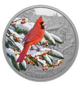 Stříbrná mince Colorful Birds - Červený kardinál 1 Oz Kanada 2023