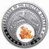 Stříbrná mince Treasures of the U.S. New Jersey Amber 1 Oz 2022 USA Native