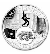 Stříbrná mince poklady zkamenělého dřeva z Mississippi (Petrified Wood) 1 Oz USA