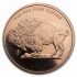 Měděná mince Bauffalo (Bison) 1 Oz