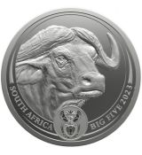 Stříbrná mince Buffalo Buvol 1 Oz Jižní Afrika 2023