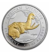 Stříbrný slon (pozlacený) 2023 Somálsko 1 oz BU
