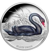 Černá labuť 1 Oz Niue 2023