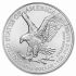 2024 1 oz American Eagle Orel BU