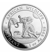 Elephant BU Slon 2024 Somálsko 1 oz African Wildlife