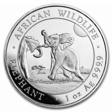 Elephant BU Slon 2024 Somálsko 1 oz African Wildlife
