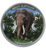 Slon  BIG FIVE SERIES 2023 1 oz Stříbrná mince
