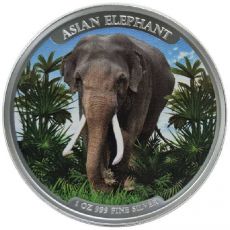 Slon  BIG FIVE SERIES 2023 1 oz Stříbrná mince