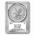 American Silver Eagle MS-70 PCGS (FirstStrike®, Black Label) 2024