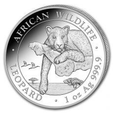 African Wildlife Leopard BU 1 Oz 2020 Somálsko